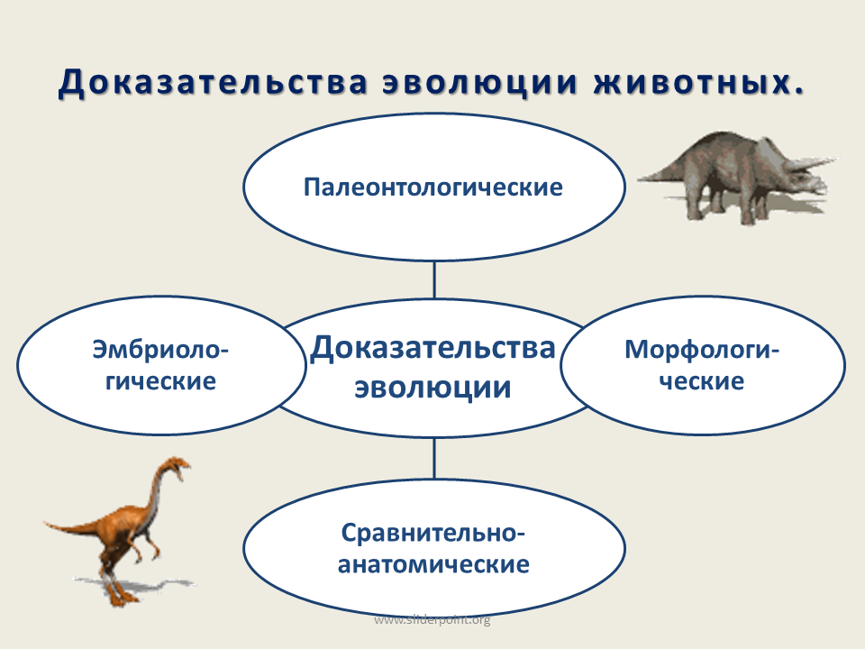 Группа животных в биологии 5. Доказательства эволюции палеонтологические доказательства. Доказательства эволюции таблица 10 класс. Доказательства эволюции животных схема. Доказательства эволюции биология 10 класс.