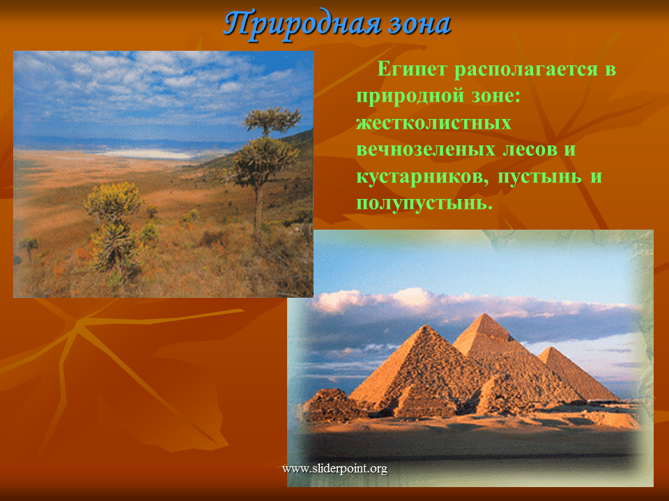 Природные зоны египта и их основные особенности. Природные зоны Египта Египта. Природная зона Египта пустыни и полупустыни. Природа Египта презентация. Природа Египта слайд.