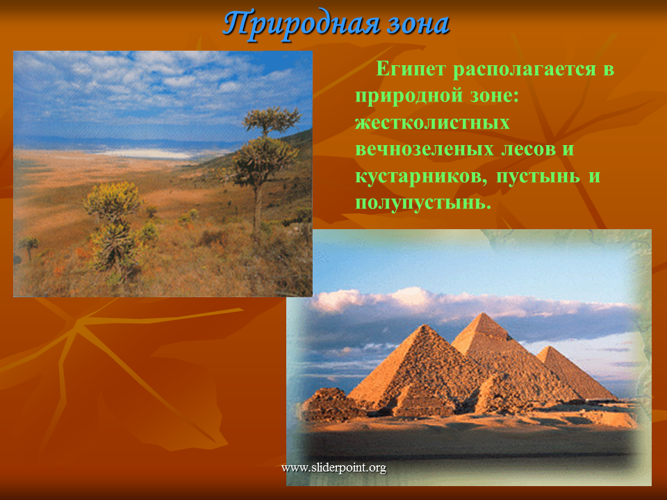 Внутренние воды полупустынь и пустынь. Природные зоны Египта Египта. Природная зона Египта пустыни и полупустыни. Природа Египта презентация. Природа Египта слайд.