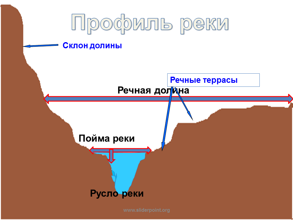 Что такое пойма реки