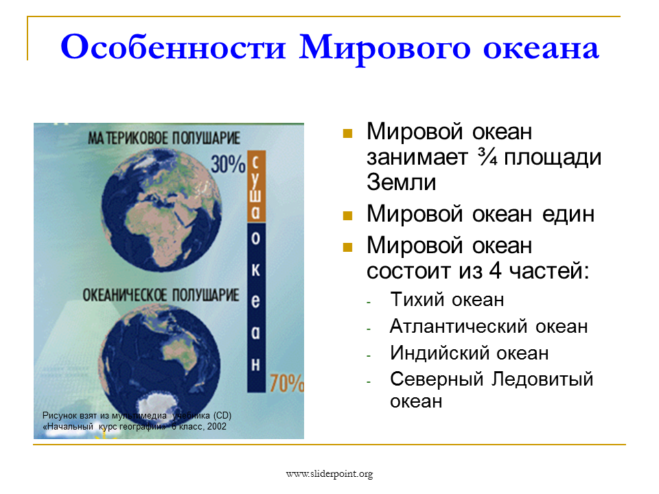 Какую часть занимает океан