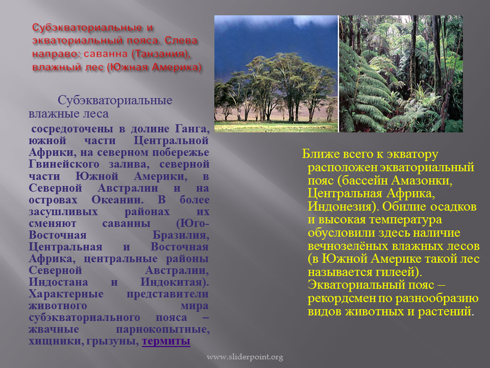 Материк расположен в экваториальном субэкваториальном тропическом