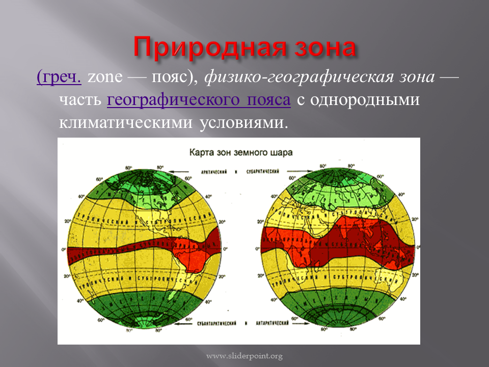 Презентация природные зоны земли 7 класс география полярная звезда