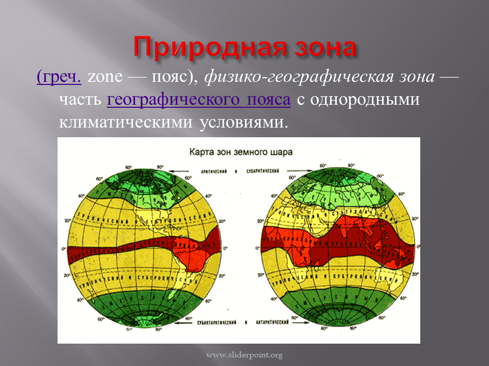 Природная зона презентация 7 класс. Географические зоны. Географические пояса и зоны. Пояса природных зон. Природная зональность 7 класс география.