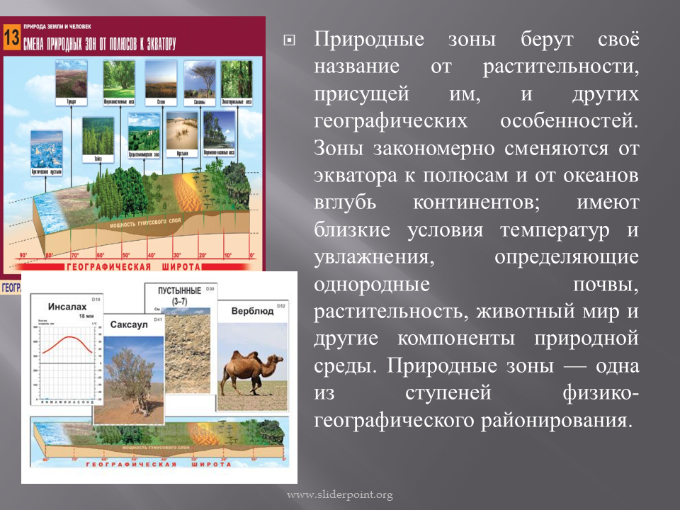 Природные зоны от экватора к полюсам. Географическая зональность (природные зоны). Изменение природных зон от экватора к полюсам. Изменение растительности от экватора к полюсам.