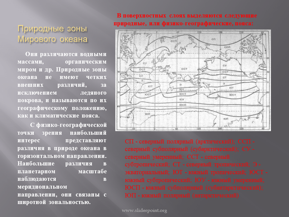 Физико-географические зоны мирового океана. Природные зоны мирового океана. Широтные зоны мирового океана. Природные пояса и зоны океана. Какие природные зоны в океанах