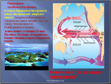 Природные особенности океана.