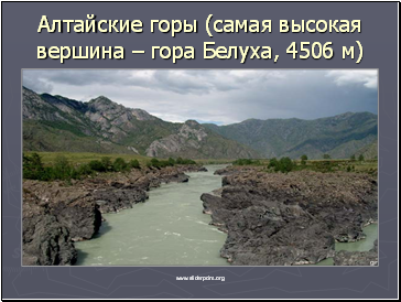 Алтайские горы (самая высокая вершина – гора Белуха, 4506 м)