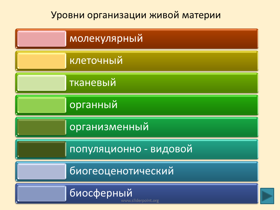 Верная последовательность биологических систем. Перечислите молекулярные уровни организации живой клетки.. Последовательность уровней организации живой материи. Перечислите уровни организации живых систем. Уровень организации живой материи по возрастанию.