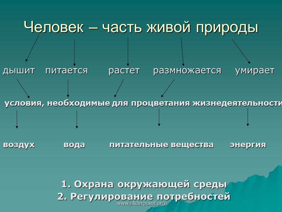 Человек часть биология