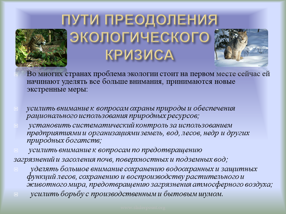 Охрана окружающей среды содержание. Пути преодоления экологического кризиса. Экологические проблемы и охрана природы. Проблемы охраны природы. Природа экологических кризисов.