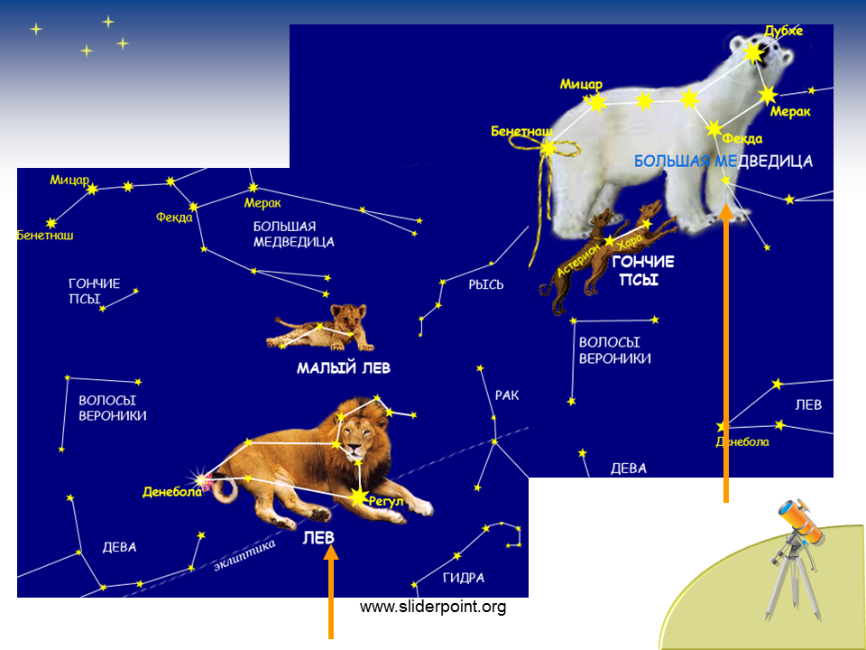 Созвездие весеннего неба 2 класс окружающий мир. Созвездия большая Медведица Кассиопея большой пес. Созвездие Льва и большая Медведица. Созвездия 2 класс окружающий мир. Презентацию звездное небо 2 класс