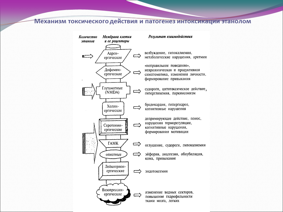 Механизм интоксикации