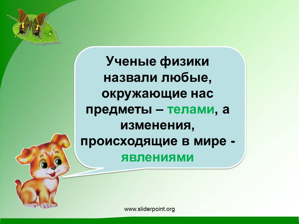 Как ученые называют 1 человека. Природные тела и явления. Природные тела и природные явления. Природные тела и явления 3 класс. Природные тела окружающие нас.