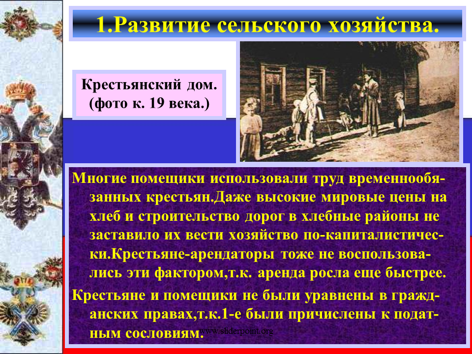 Развитие сельского хозяйства 19 век. Сельское хозяйство в России XIX век. Сельское хозяйство крестьян. Развитие капитализма в сельском хозяйстве. Промышленность и сельское хозяйство при александре 3