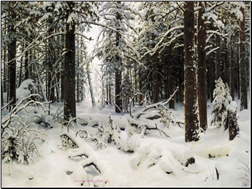 Сочинение по картине И.И. Шишкина «Зима».