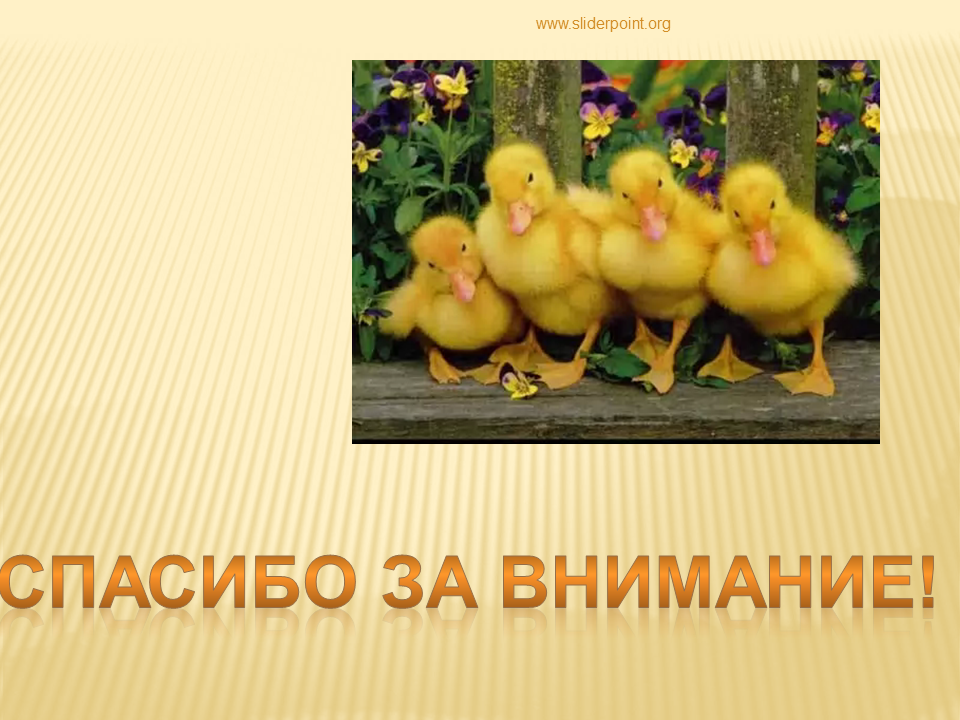 Ребята и утята урок. Спасибо за внимание для презентации. Утята для презентации. Спасибо за внимание с уткой. Ребята и утята.