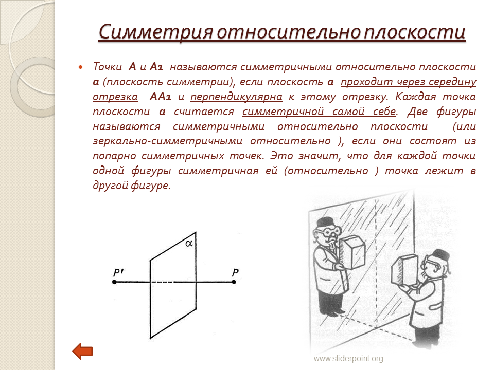 Через тело можно провести одну плоскость симметрии