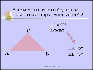 В прямоугольном равнобедренном треугольнике острые углы равны 45°.