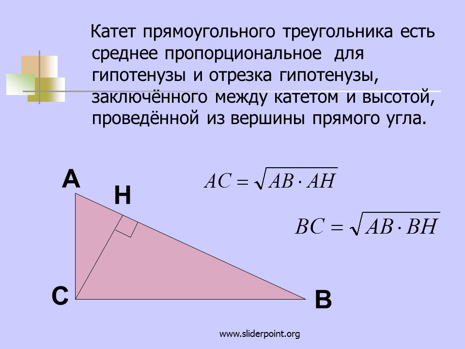 Биссектрисы острых углов прямоугольника. Высота к гипотенузе в прямоугольном треугольнике. Высота треугольника к гипотенузе. Катет прямоульногтттреугольника. Гипотенуза прямоугольного треугольника.