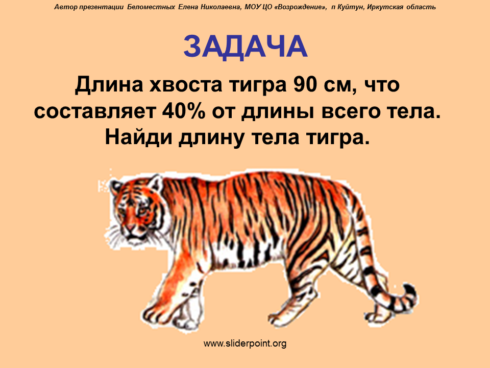Загадка про тигра. Загадки о Тигре. Презентация на тему тигр. Тигр задания.