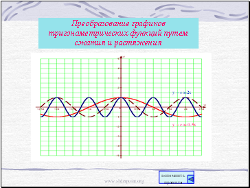 Преобразование графиков тригонометрических функций путем сжатия и растяжения