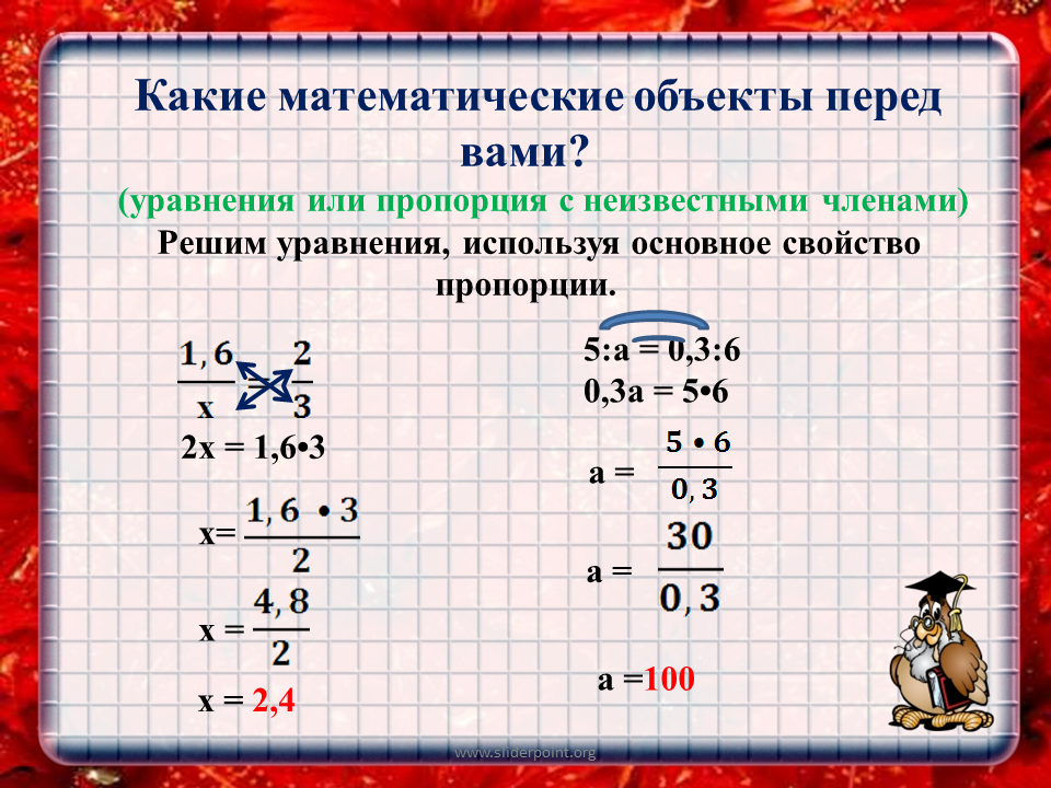 Составь любую пропорцию