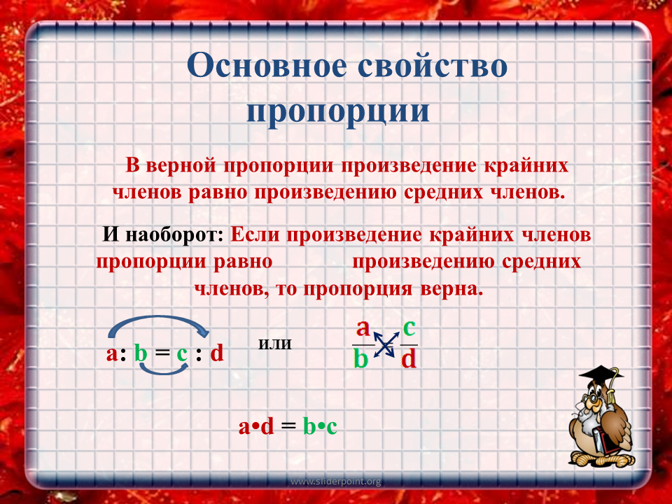 Составь любую пропорцию