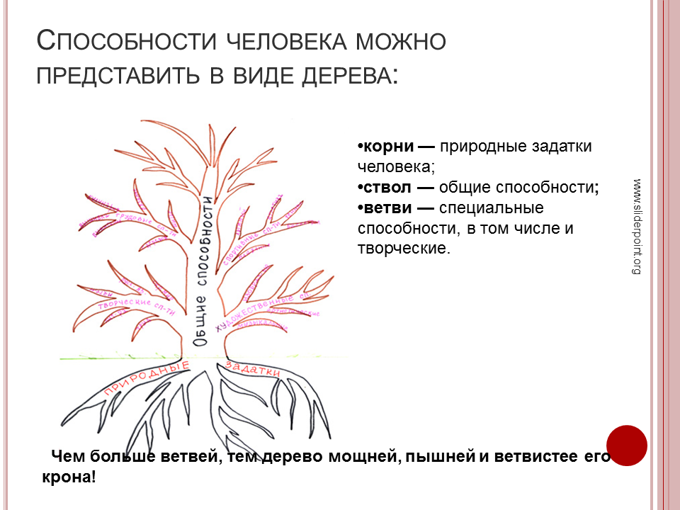 Способности человека. Способности человека можно представить в виде дерева. Способности человека примеры. Способности человека список.