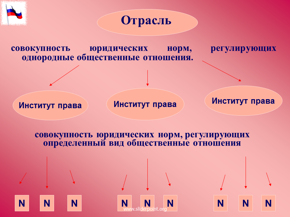 Правовой институт совокупность норм регулирующих определенный сегмент. Однородные общественные отношения это. Совокупность однородных правовых норм.