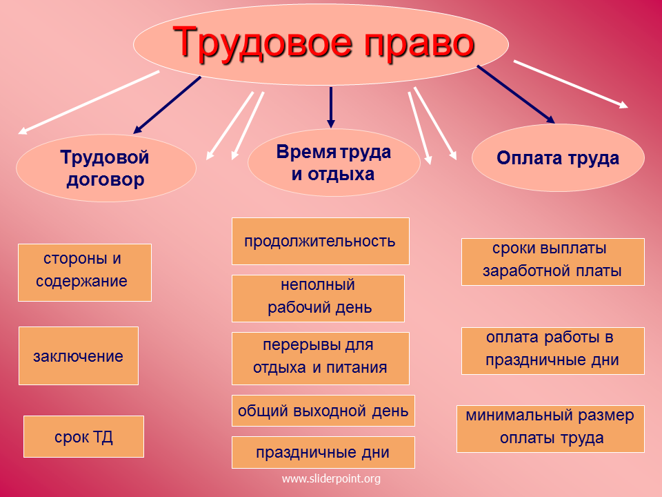 Насколько его содержание. Трудовое право. Трудовое право примеры.