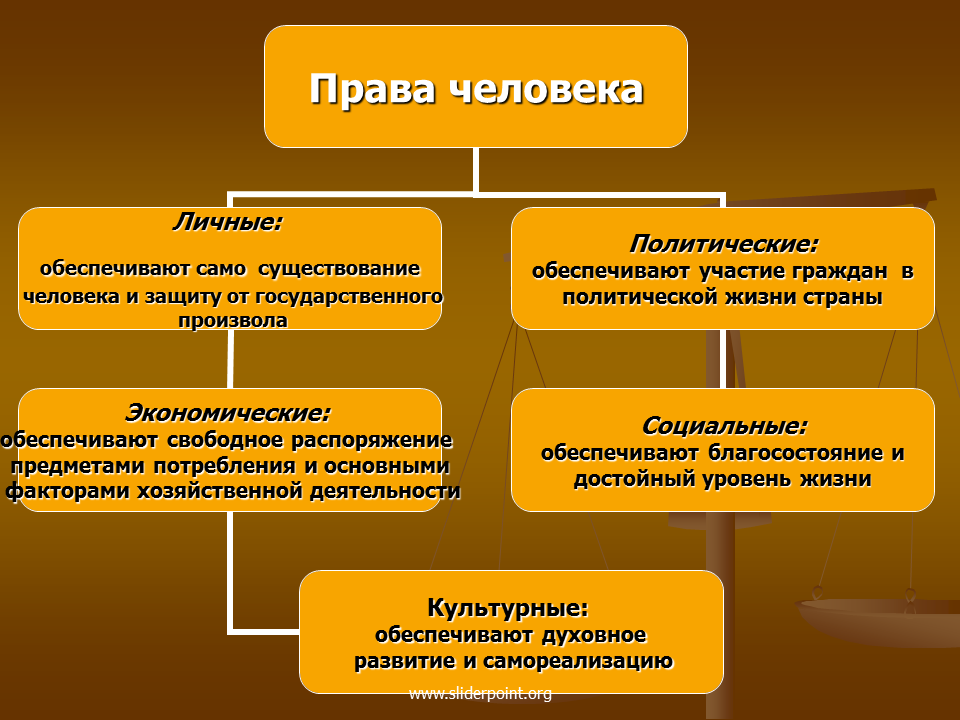 Виды прав человека.