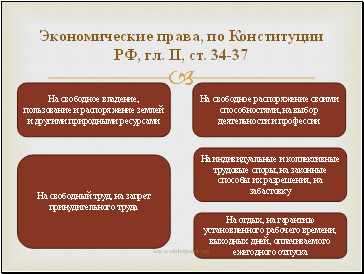 Экономические права, по Конституции РФ, гл. II, ст. 34-37
