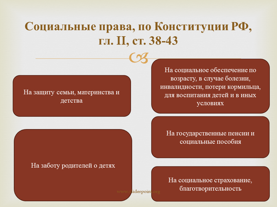 Защита детей в конституции рф. Конституционное право на социальную защиту.