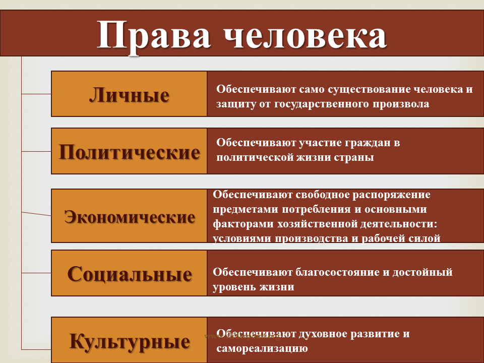 Личные свободы в конституции рф. Виды прав. Виды прав и свобод человека.