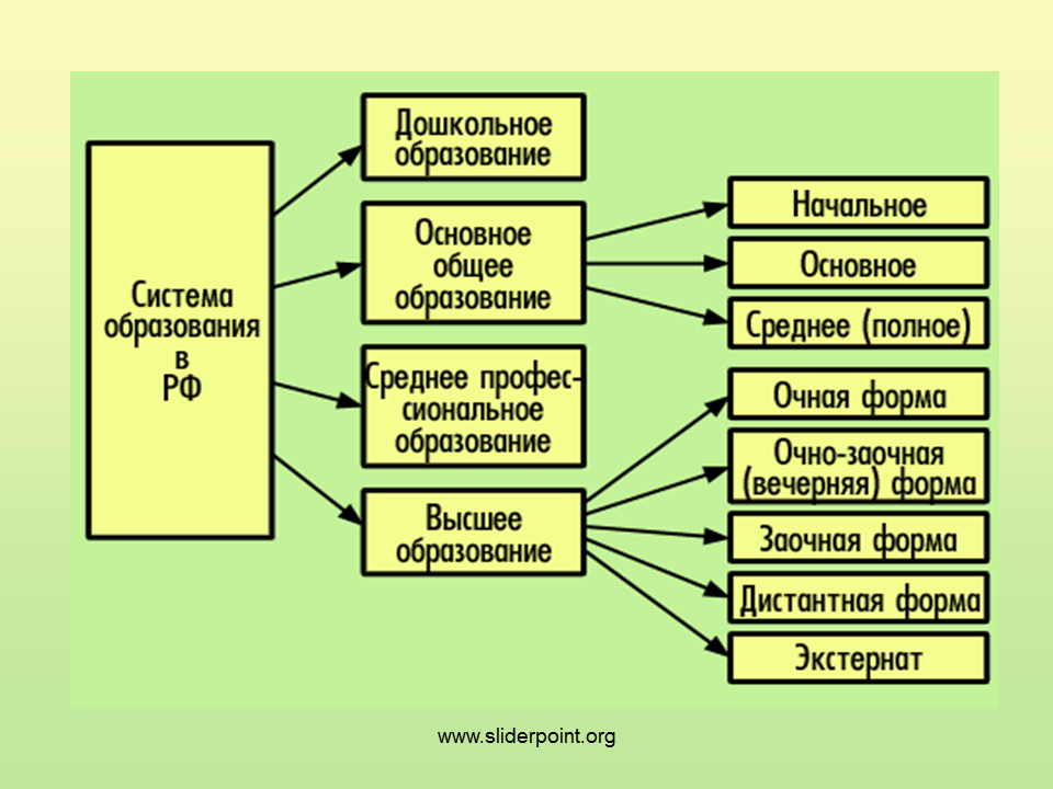 Схема общего образования в России. Схема общее образование в РФ.