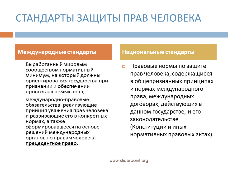 Принцип международной защиты прав человека. Международные стандарты защиты прав и свобод человека. Механизмы защиты прав человека. Международно-правовая защита прав и свобод человека и гражданина. Механизм защиты прав человека (национальный и Международный)..