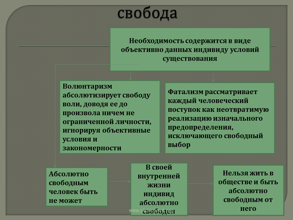 Основные функции свободы