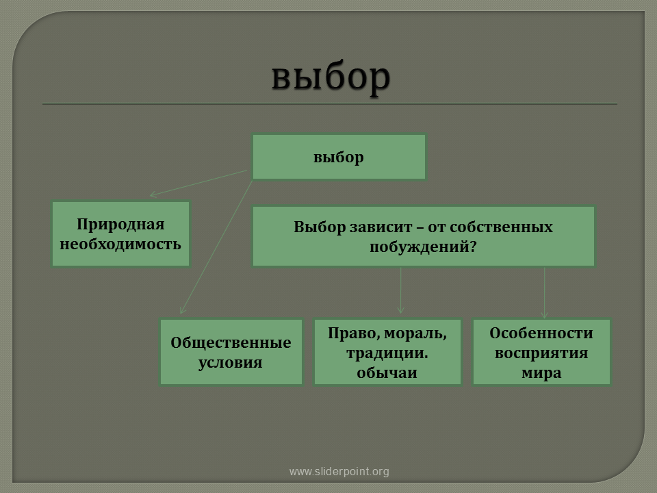 Особенности свободы общества. Выбор зависит от собственных побуждений. Необходимость выбора. Мораль право обычаи традиции. От чего зависит Свободный выбор.