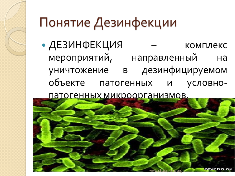 Дезинфекция - Презентация Медицина