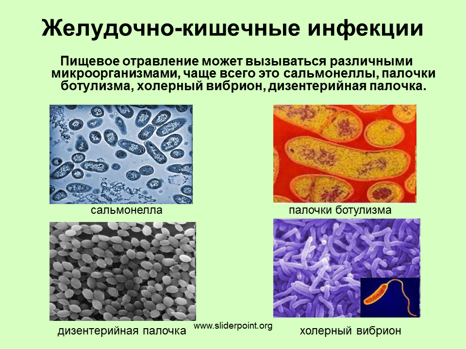 Бактерии примеры болезней