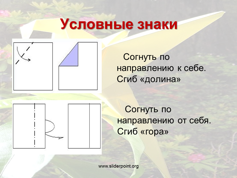 Как показывают линии сгиба