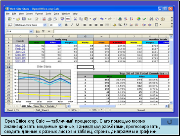 OpenOffice.org Calc — табличный процессор. С его помощью можно анализировать вводимые данные, заниматься расчётами, прогнозировать, сводить данные с разных листов и таблиц, строить диаграммы и графики.