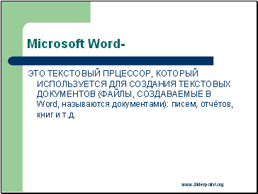 Microsoft Word