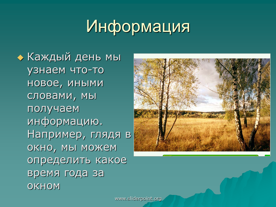 Презентация по информатике времена года. Проект времена года по информатике. Презентация на тему времена года 7 класс Информатика. Времена года Информатика 6 класс. Времена года информатика