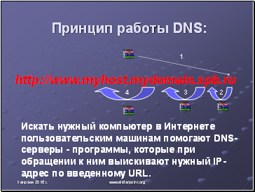   DNS