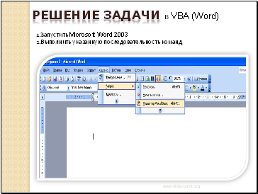    VBA (Word)