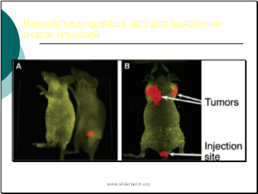  quantum dots    