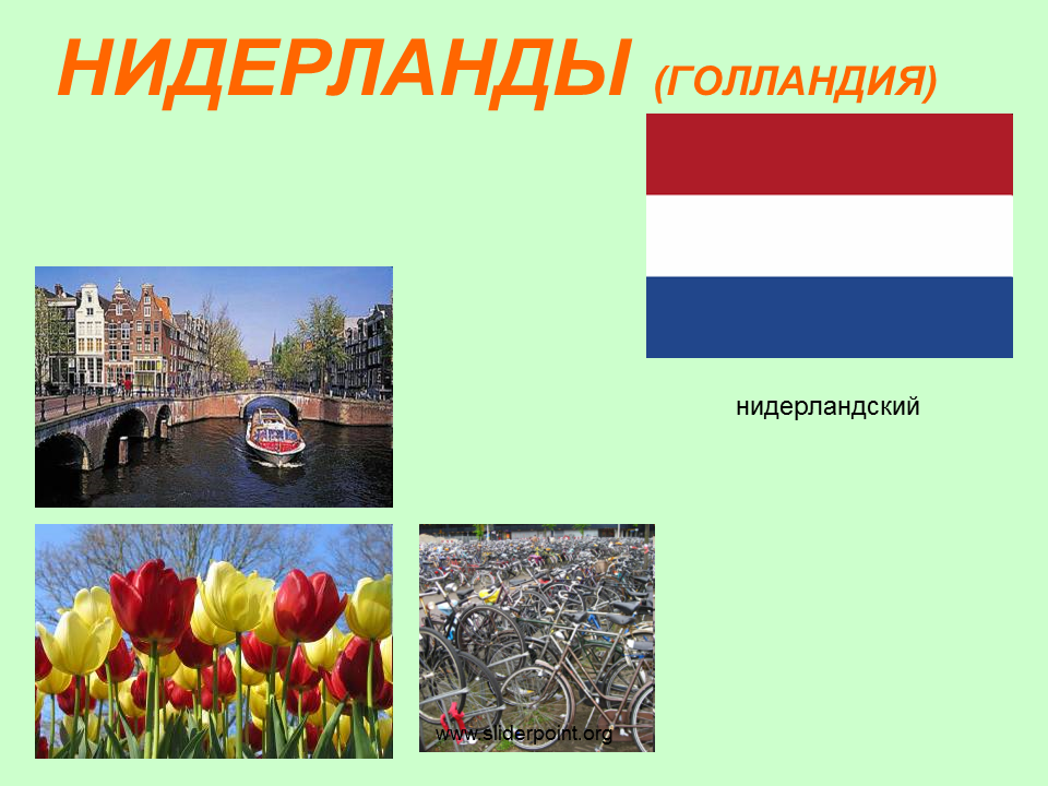 Окружающий мир тема бенилюкс. Бенилюкс 3 класс окружающий мир проект Нидерланды. Нидерланды Голландия окружающий мир 3 класс. Нидерланды Страна Бенилюкса 3 класс окружающий мир. Нидерланды Страна тюльпанов окружающий мир 3 класс.
