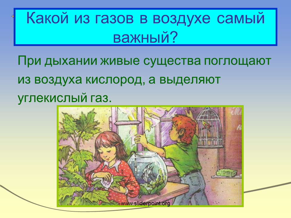 Презентации воздух 2 класс. Какой из газов в воздухе самый важный. Какой ГАЗ самый важный. Про воздух 2 класс окружающий мир. Какой ГАЗ В воздухе самый важный 2 класс.